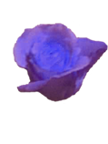 sticker_14158913_21914062