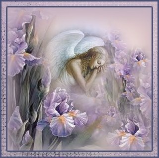 sticker_20486717_37693400
