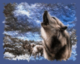sticker_92701_10893706