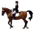 sticker_19678726_33025120