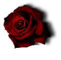 sticker_31469181_44038807