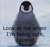 sticker_133121_4426358