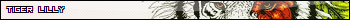 sticker_5151736_40219484