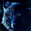 sticker_920032_11537979