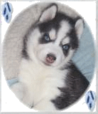 sticker_844334_14851929