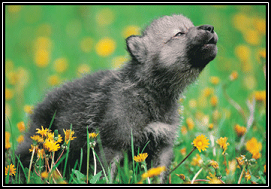 sticker_27128710_39991333