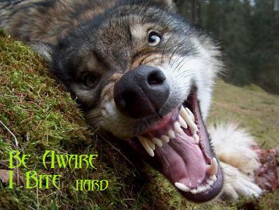 sticker_16116051_23608532