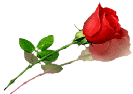 sticker_15981370_27192287