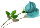 sticker_1490835_10625314
