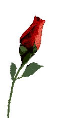 sticker_5126027_46619001
