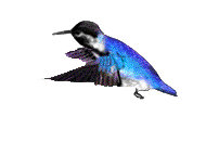 sticker_1645979_36349203