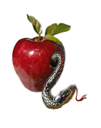 sticker_17251951_30097257