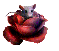 sticker_16591671_24987262