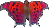 sticker_4572032_32597765