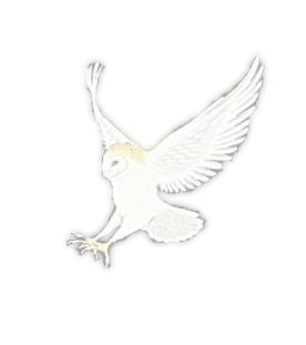 sticker_15640242_44048003