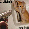 sticker_2334077_3213343