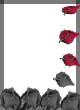sticker_11641448_25068014