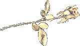 sticker_3282443_34069799