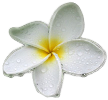 sticker_6150995_8380655