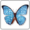 sticker_8255697_13646227