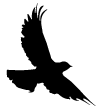 sticker_22029990_45718771
