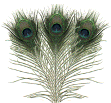 sticker_10960139_37923601