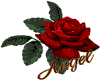sticker_21314538_32541789