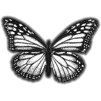 sticker_16912347_23580672