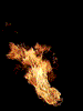 sticker_855776_6946403