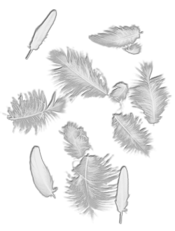 sticker_844334_24471187