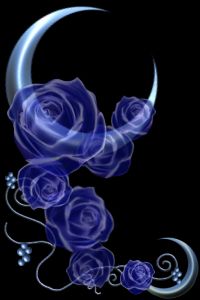 sticker_18918348_32578438