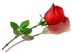 sticker_16486445_28781217