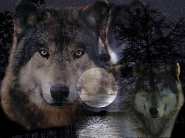 sticker_20021762_38421311