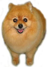 sticker_20328914_33160608