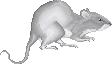 sticker_9571884_40777339