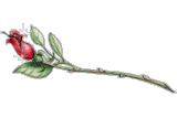 sticker_25298318_37976298