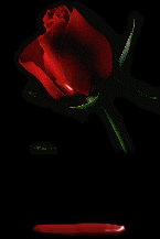 sticker_22526562_34182885