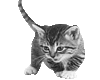 sticker_7789650_47458831