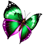 sticker_15212880_41727842
