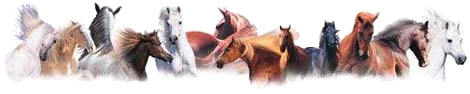 sticker_21155843_28631637