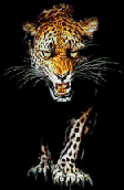 sticker_656720_881953