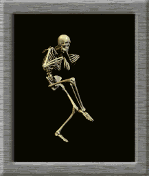 sticker_14487397_23561160