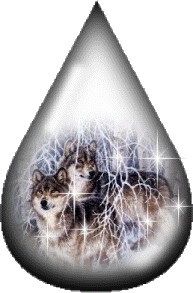 sticker_20545146_30919096