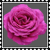 sticker_6195420_39571152