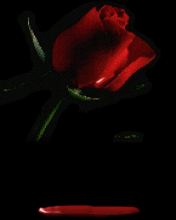 sticker_21068923_41533582
