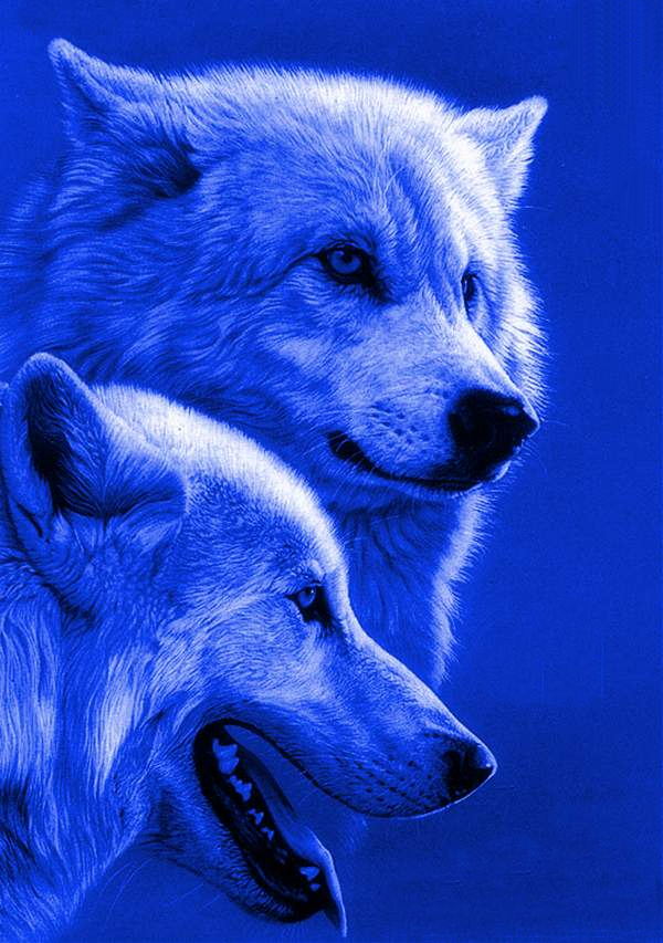 sticker_20004153_28285261