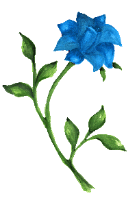sticker_20948649_40136988