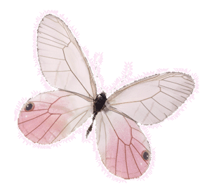 sticker_6686445_34427251