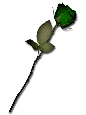 sticker_11338074_17382987