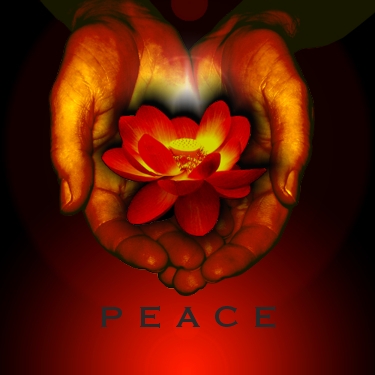 sticker_8381899_38969291